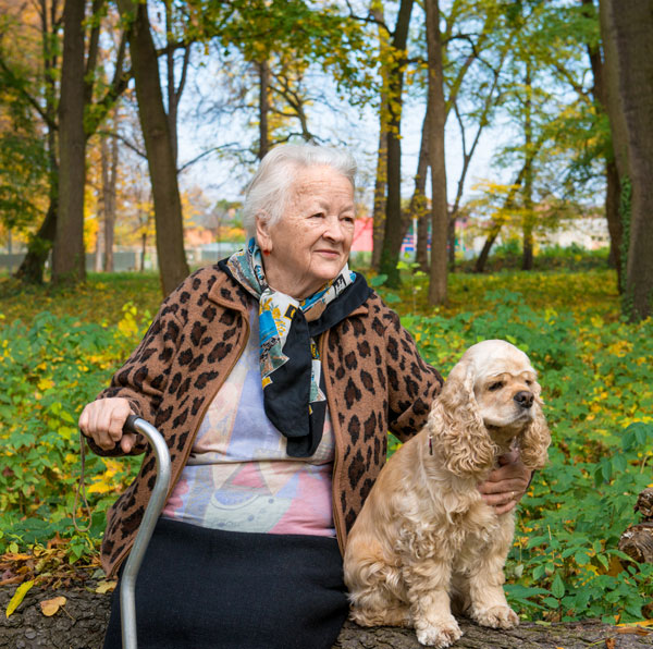 senior-lady-cocker-spaniel